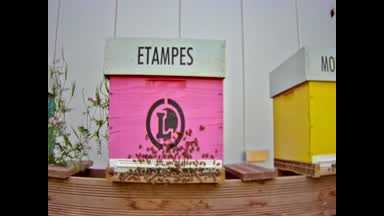 01 - ETAMPES
