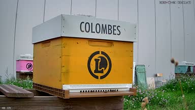 10 - COLOMBES