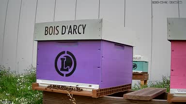 11 - BOIS D'ARCY