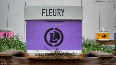 12 - FLEURY