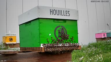 13 - HOUILLES