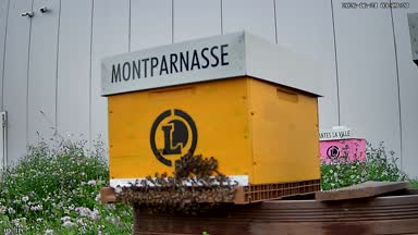 14 - MONTPARNASSE