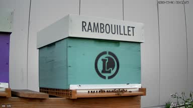 17 - RAMBOUILLET