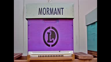 18 - MORMANT
