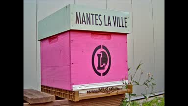 19 - MANTES-LA-VILLE