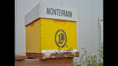 02 - MONTEVRAIN