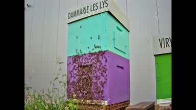 21 - DAMMARIE-LES-LYS