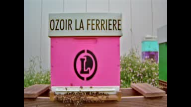 22 - OZOIR-LA-FERRIÈRE