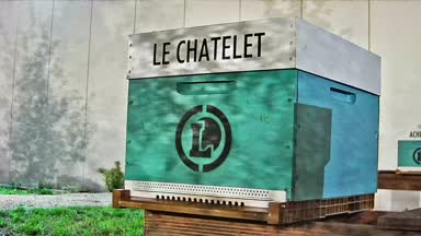 24 - CHATELET EN BRIE