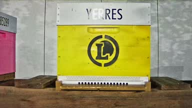 25 - YERRES