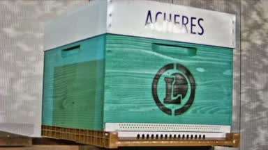 26 - ACHERES