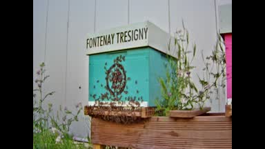 03 - FONTENAY TRESIGNY