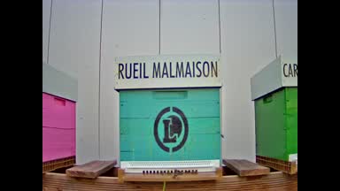 04 - RUEIL MALMAISON