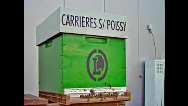 05 - CARRIERE SOUS POISSY 1
