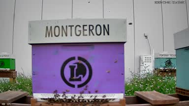 06 - MONTGERON