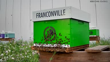 07 - FRANCONVILLE